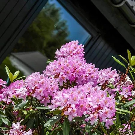 C11654-hemmet-svanevaenget-28