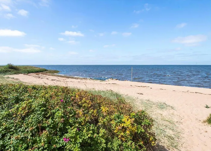 펜션 C11654-hemmet-svanevaenget-28